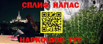 Альфа ПВП Кингисепп
