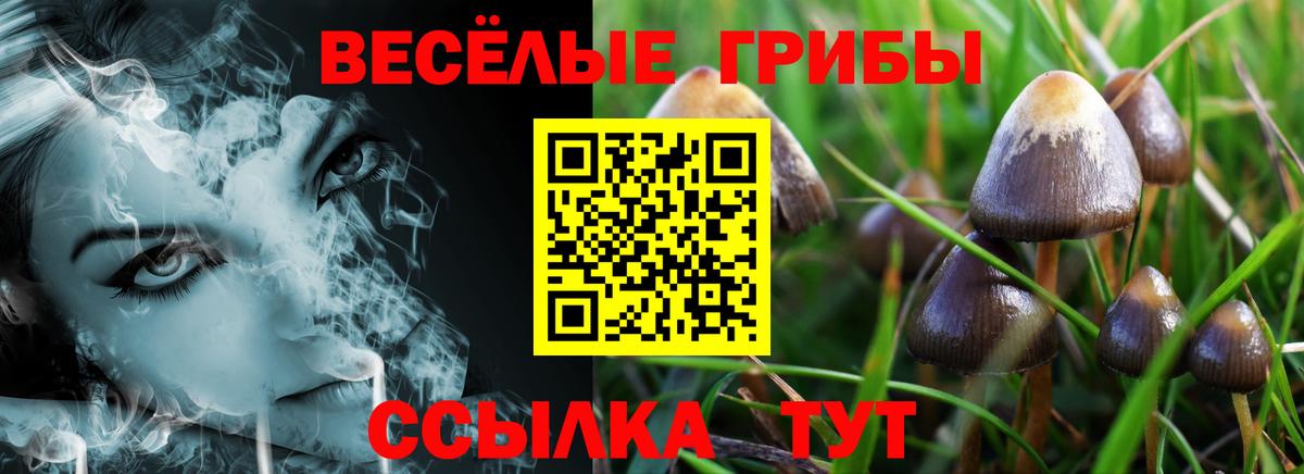 Псилоцибиновые грибы Cubensis  сколько стоит  Крымск  Галлюциногенные грибы MAGIC MUSHROOMS  Вход с VPN 